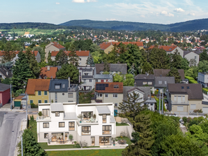 Ruzickagasse 21